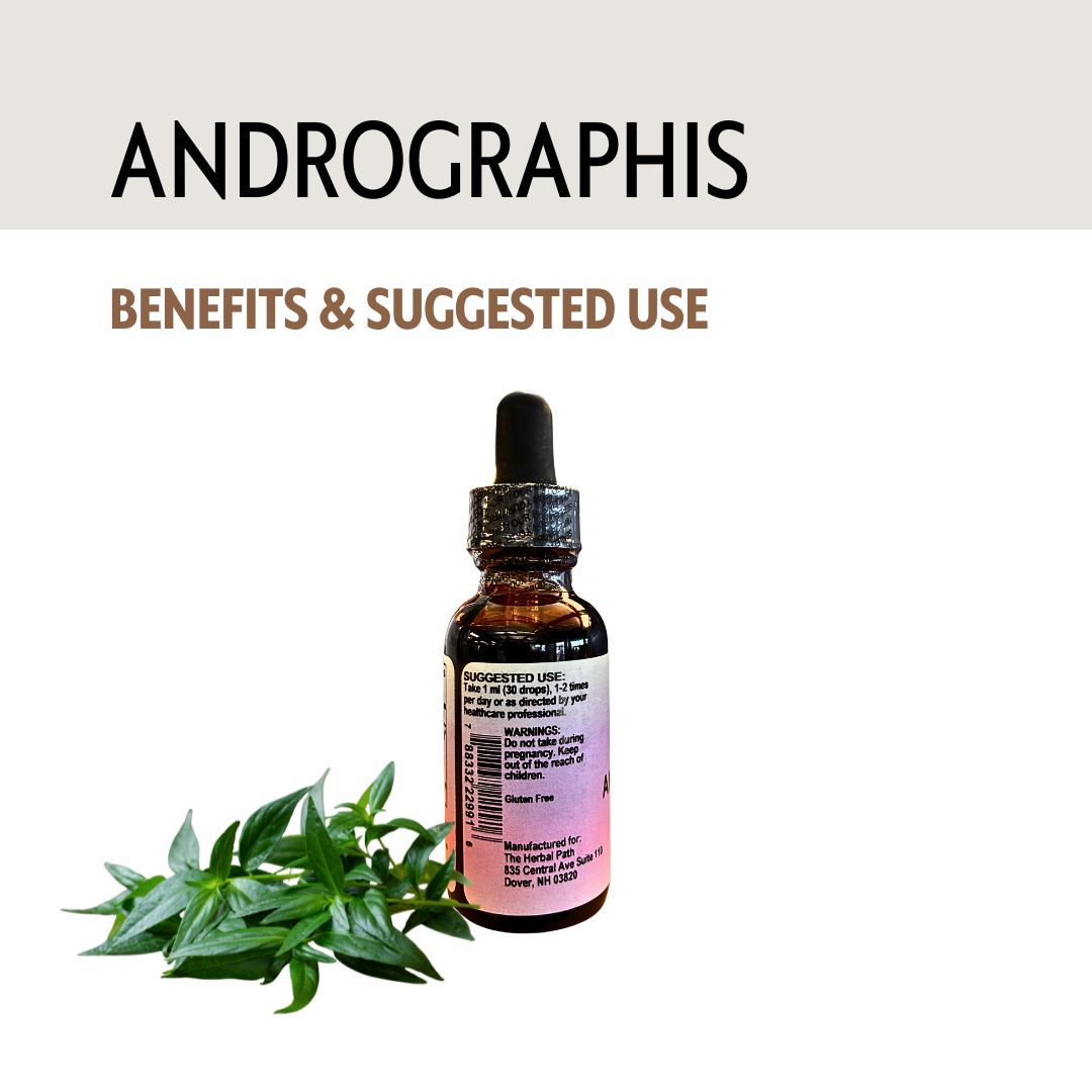Bottle of Andrographis with leaves on a white background