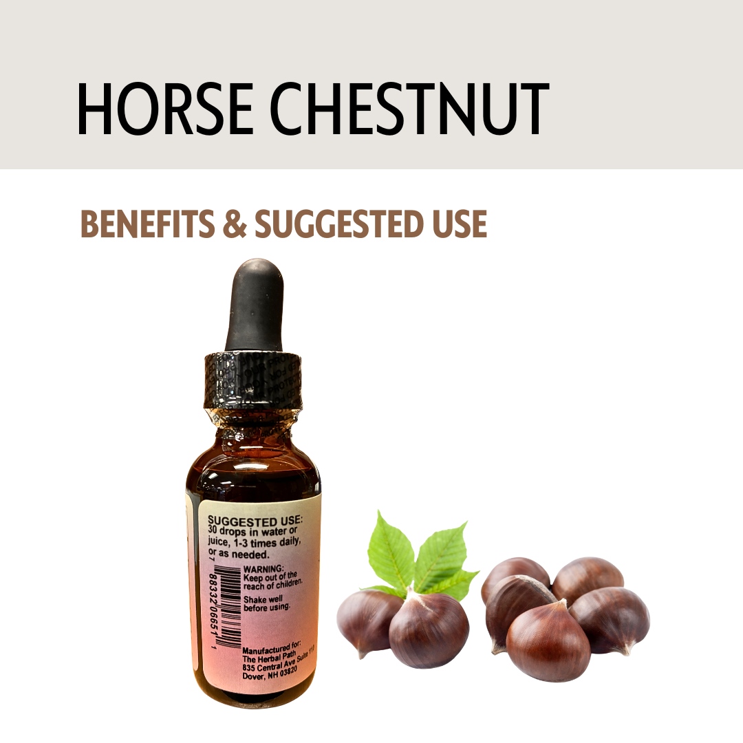 Horse chestnut tincture bottle with horse chestnuts and leaves on a white background