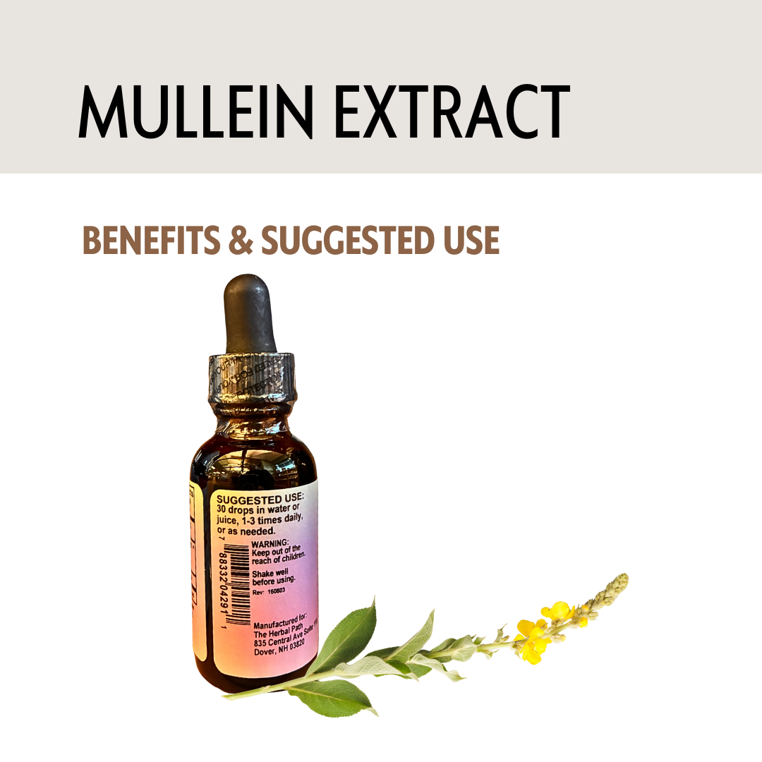 Bottle of mullein extract with text on a light background