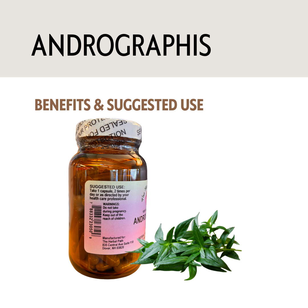 Bottle of Andrographis with plant leaves on a white background