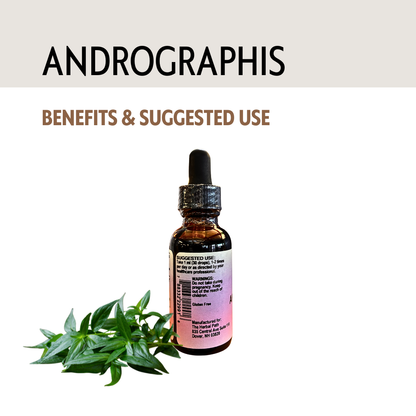 Bottle of Andrographis with leaves on a white background