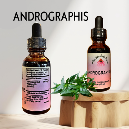 Two bottles of Andrographis supplement on a wooden stand with a plant, against a light background.
