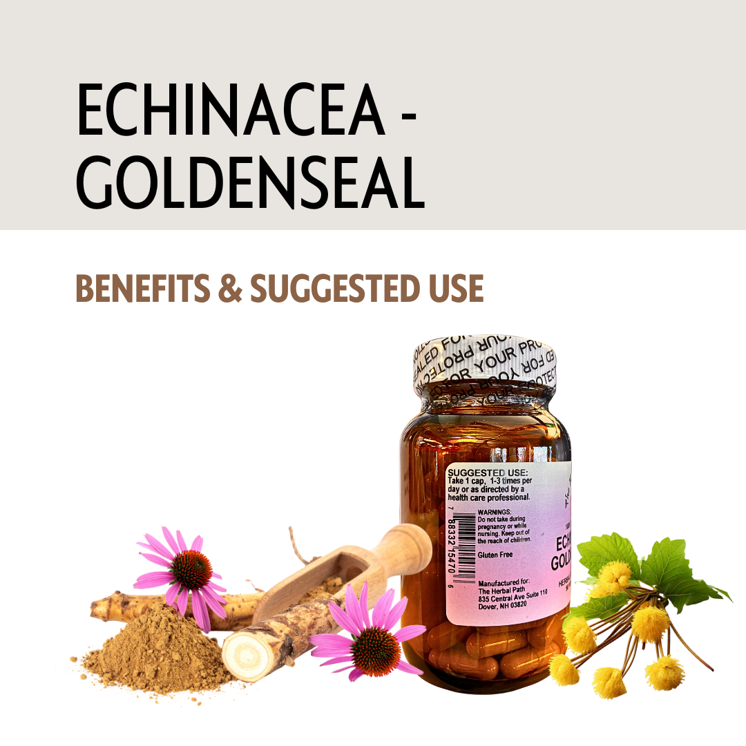 Bottle of Echinacea-Goldenseal supplement with herbs and flowers on a white background