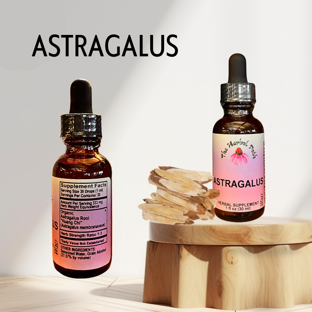 Two bottles of Astragalus supplement on a wooden stand with a light background