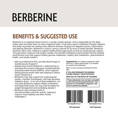 Berberine supplement label with benefits, barcodes and suggested use on a white background.