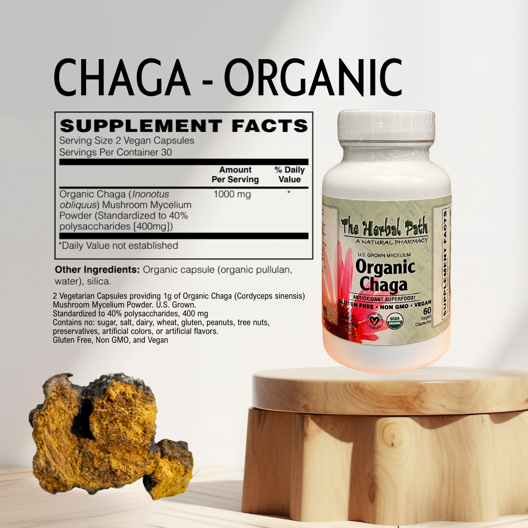 Organic Chaga supplement bottle with chaga mushroom on a wooden stand against a light background.