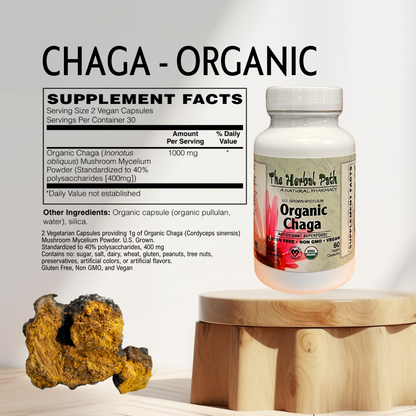 Organic Chaga supplement bottle with chaga mushroom on a wooden stand against a light background.