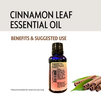 Bottle of cinnamon leaf essential oil with cinnamon sticks and leaves on a white background