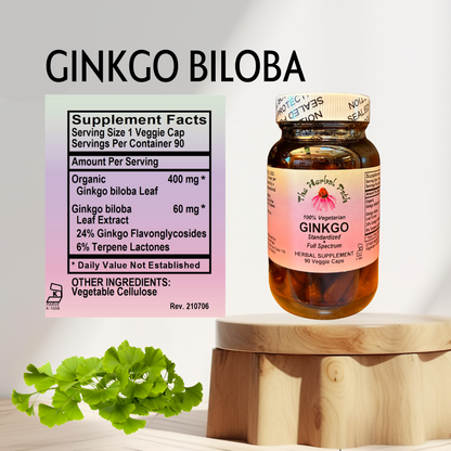 Ginkgo Biloba