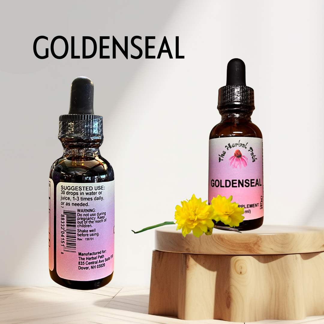 Two bottles of Goldenseal supplement on a wooden stand with a white background