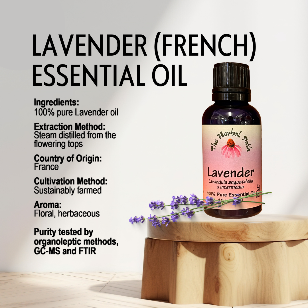 Lavender (French) Essential Oil