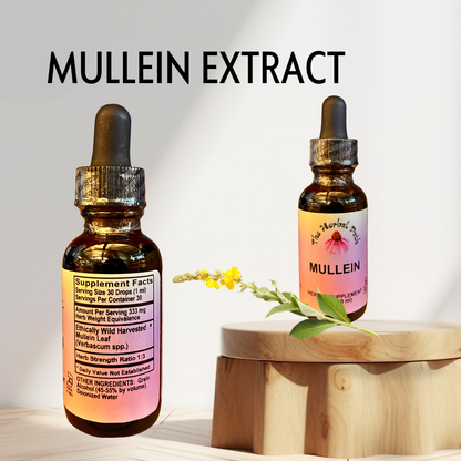 Two bottles of Mullein Extract on a wooden surface with a white background