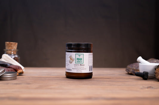 Rogue Herbalist Lion's Mane Powder