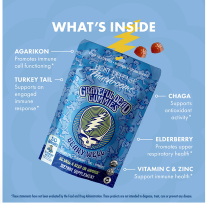 A blue stand-up pouch of Grateful Dead Elderberry Gummies is shown on a light blue background with callout labels pointing to ingredients such as agarikon, turkey tail, chaga, elderberry, and vitamin C & zinc. The pouch has a blue and white design with a yellow lightning bolt logo.