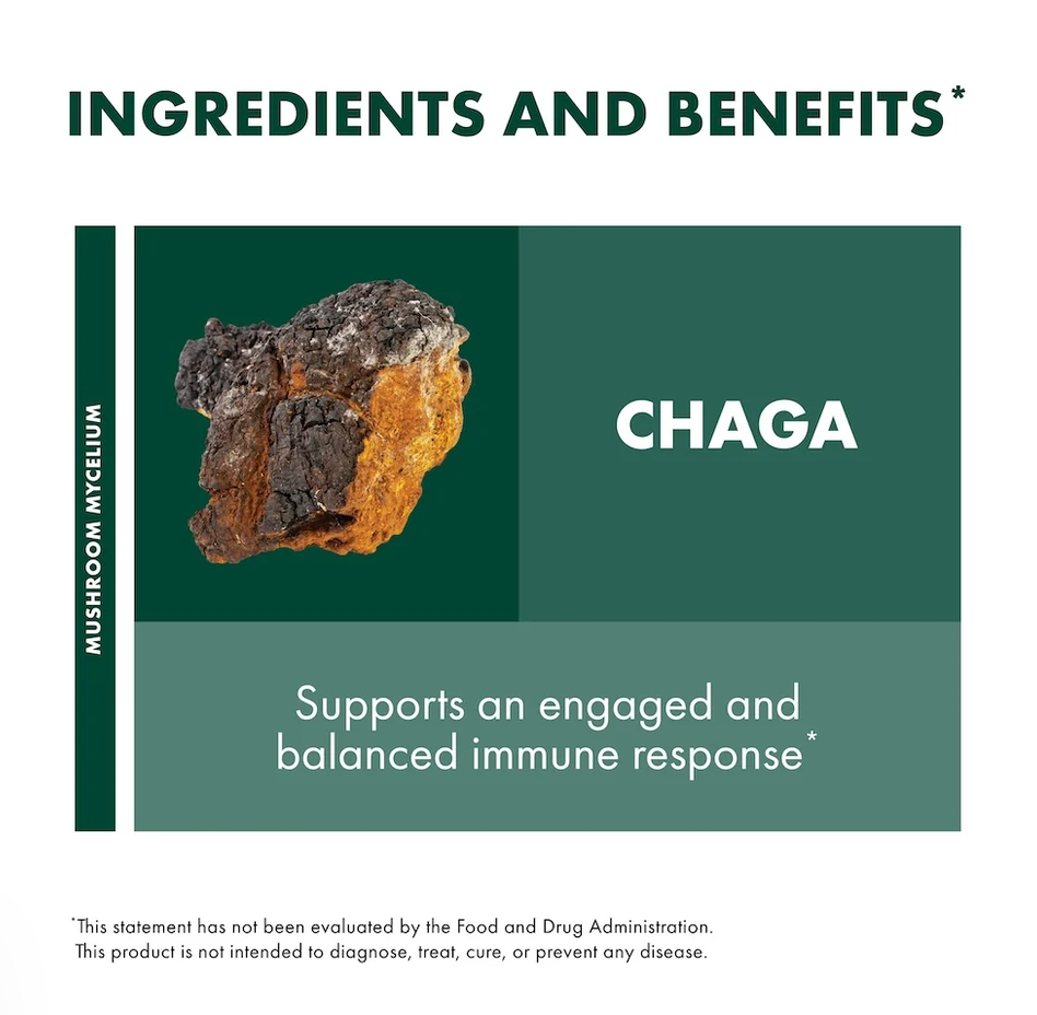 Host Defense Chaga Mushroom Capsules