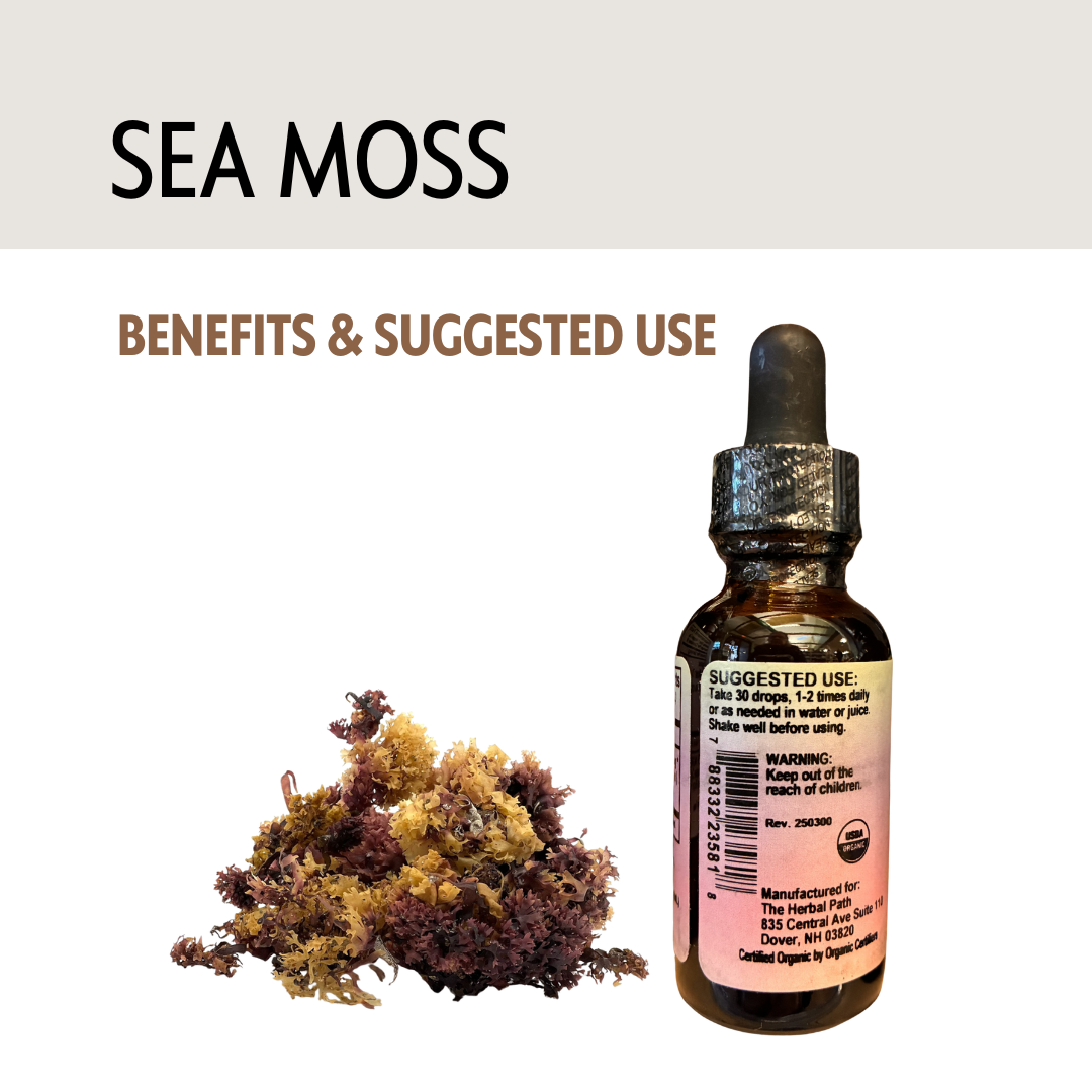 Sea moss and a bottle with a dropper on a white background