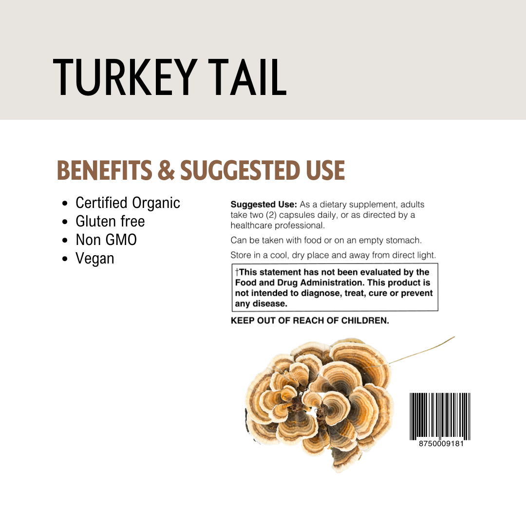 Supplement label for Turkey Tail with benefits, suggested use, and product image.