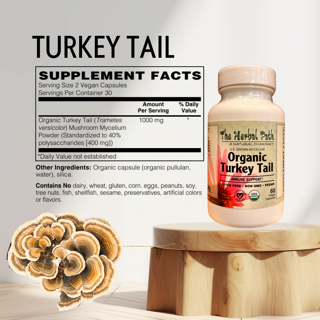 Supplement bottle labeled 'Organic Turkey Tail' with supplement facts on a light background.