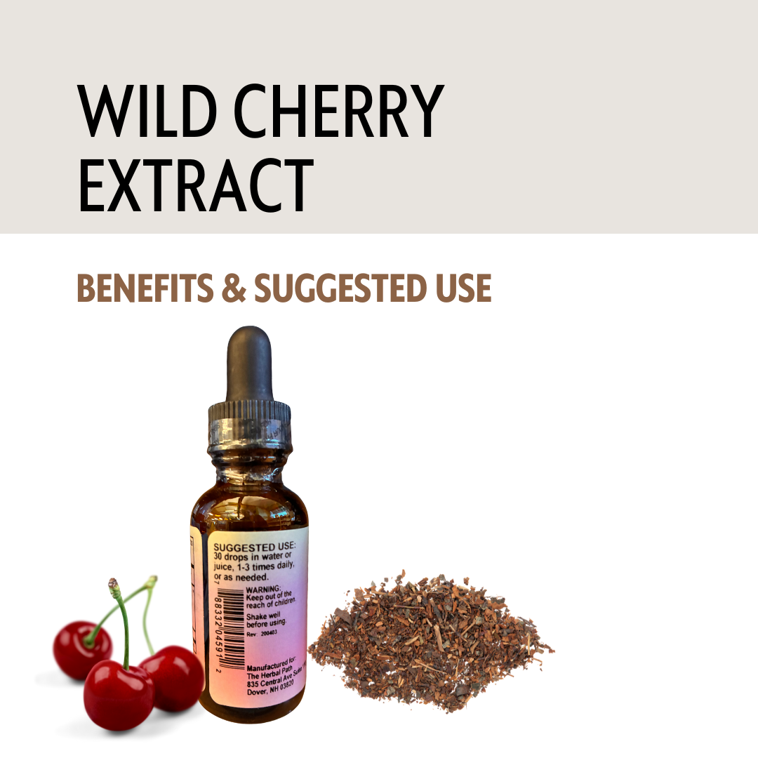 Bottle of wild cherry extract with cherries and dried bark on a white background